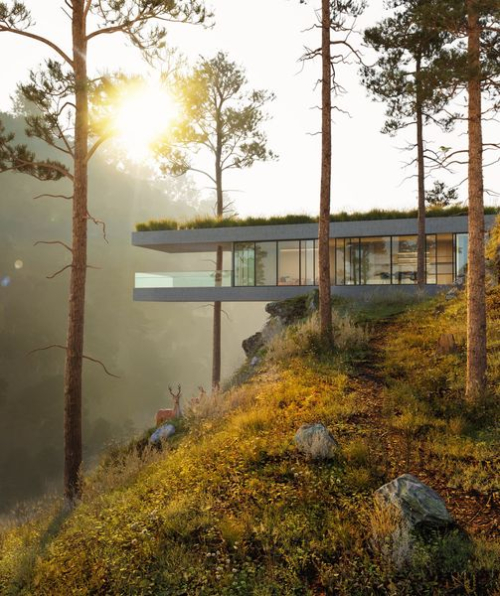 Nguyen Long - Download Free 3D Exterior Model 