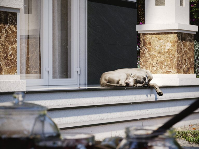 Vo Minh Thi - 3D House Exterior Model Download 