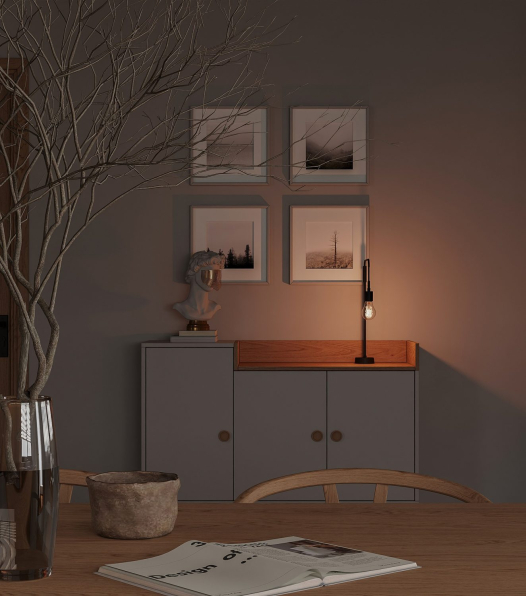 Cao Ngoc Cuong -  Download Free 3D Apartment Interior Model 