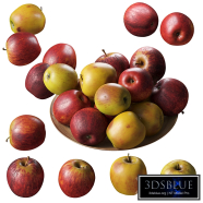 Apples Gala. 4 models