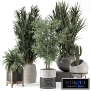 Indoor Plants in Handmade Stone Pot - Set 1857