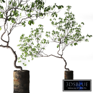 Tree in Metal Planter