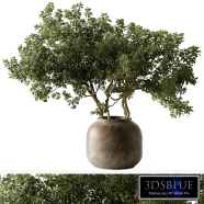 Bouquet - Green Branch 185