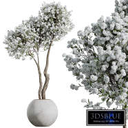 HQ HousePlants Tropez Planter Cherry Blossom Decorative Tree02