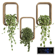 hanging plants on a box
