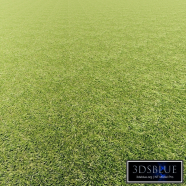 Grass texture seamless pbr 110 4k