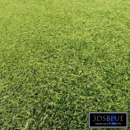Grass texture seamless pbr 120