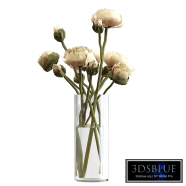 Bouquet of peonies in a glass vase