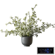 Bouquet of flowering branches in a clay vase