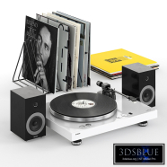 Yamaha Vinyl Player with Sony speakers and records