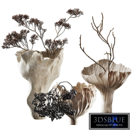 Vases with dried flowers, branches and berries