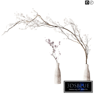 Flowering branch in a vase 04