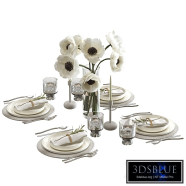 Decorative tableware set for table setting