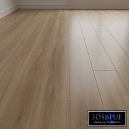 Laminate. Parquet. Board 77