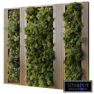 Plants set partition in wooden frame 129 - Vertical graden wall decor box