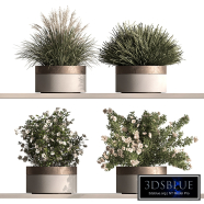 Indoor Plant 948 - Hanging Plants
