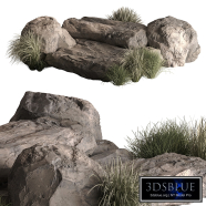 Rock Surface and Plants 16