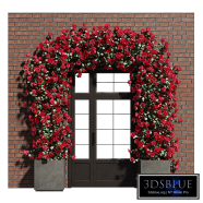 Facade flower arrangement of roses and poinsettias