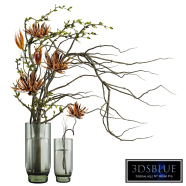 Autumn Plants Set 294