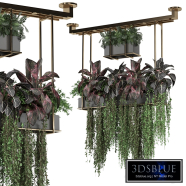 indoor plants in metal box 24 hanging41