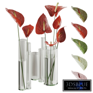 Bouquet of Anthuriums of Different Colors