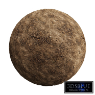 Seamless Dirt Ground Texture with Twigs and Pebbles