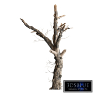 Dry Burned Wood Set 454