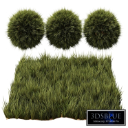 Wild Field Grass Lawn Set 2