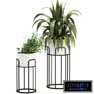 Plant Set 16