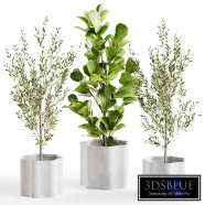 Marlo Wave Decorative Pot