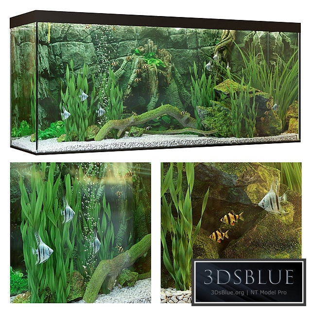 Aquarium