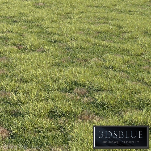 Grass kit 2