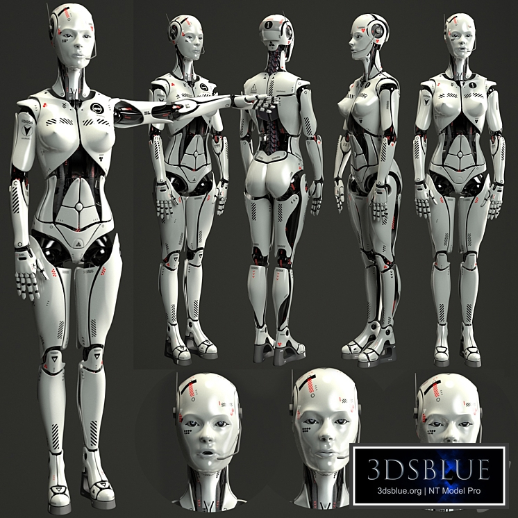 Robot