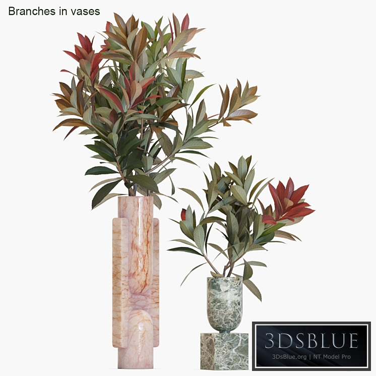 Branches in vases # 17