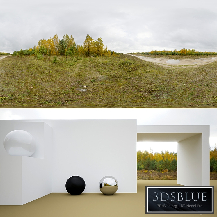HDRi autumn forest