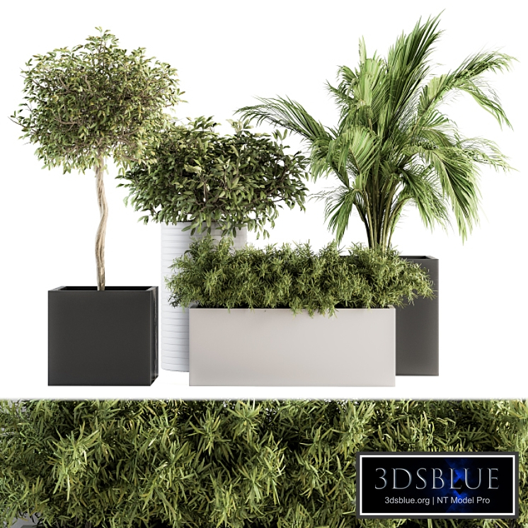 indoor Plant Set 188 - Plant Boxes