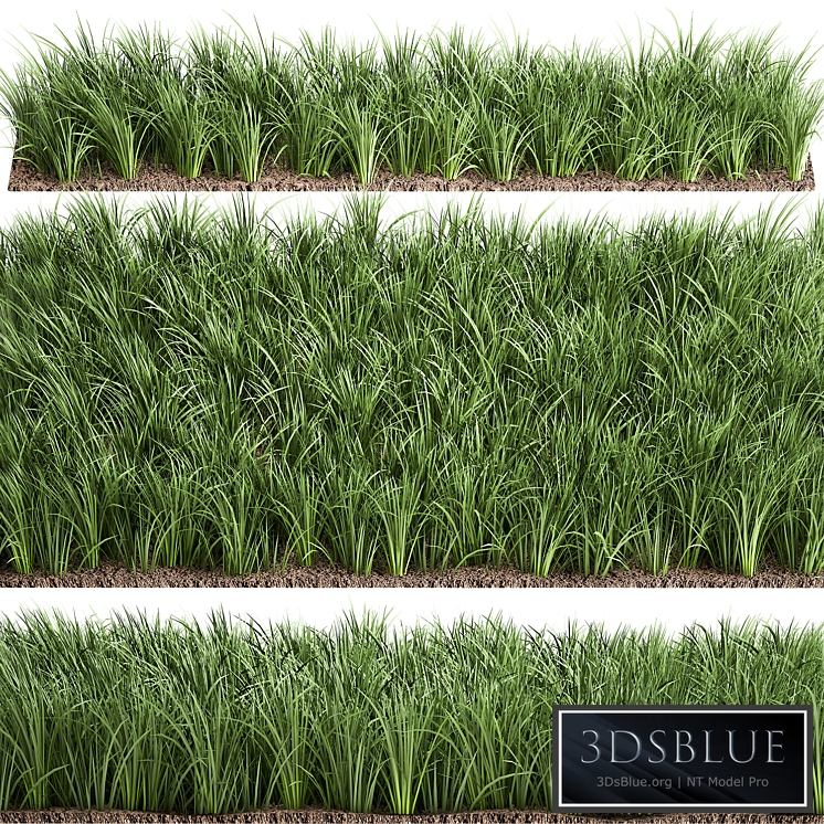 Lawn 941. grass, bushes, landscaping
