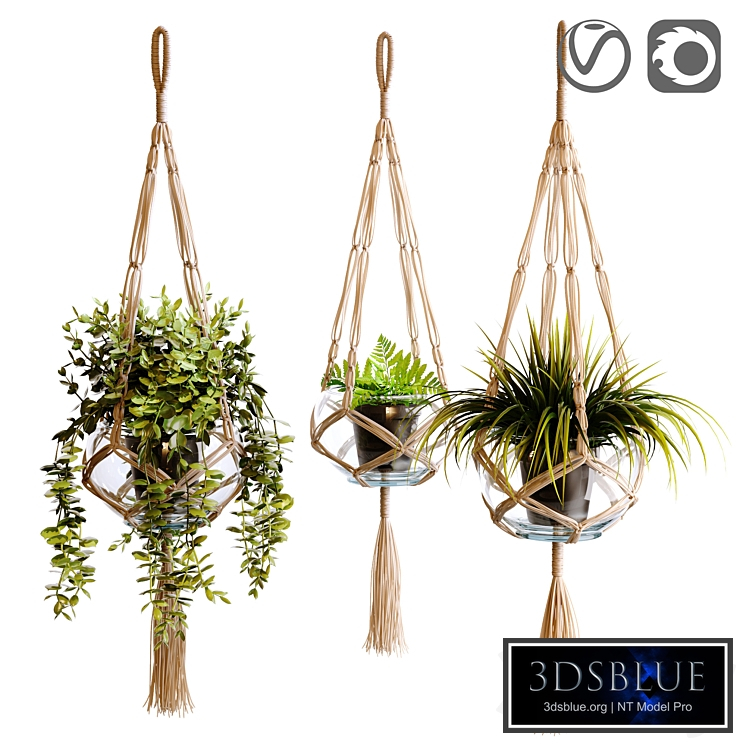Plant holder, Macramate