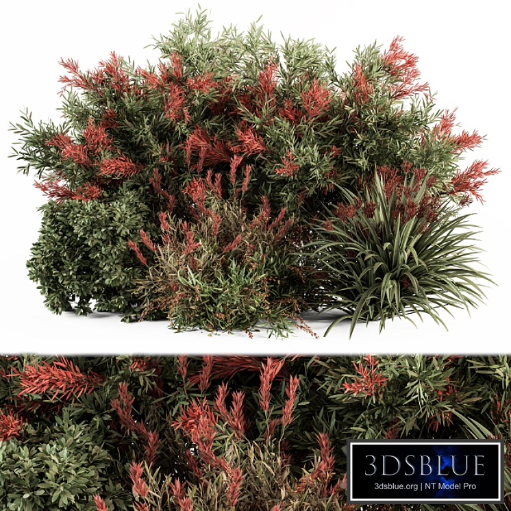 Mixed Plant Bush Green and Red - Bush Set 51