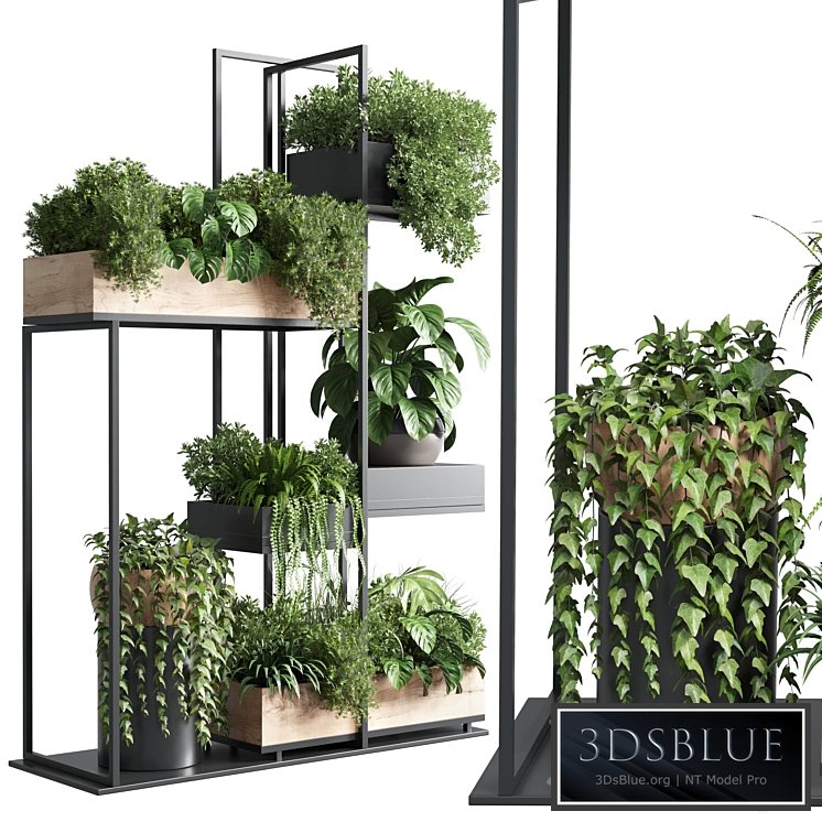 stand plant box - collection Indoor plant 217 wooden