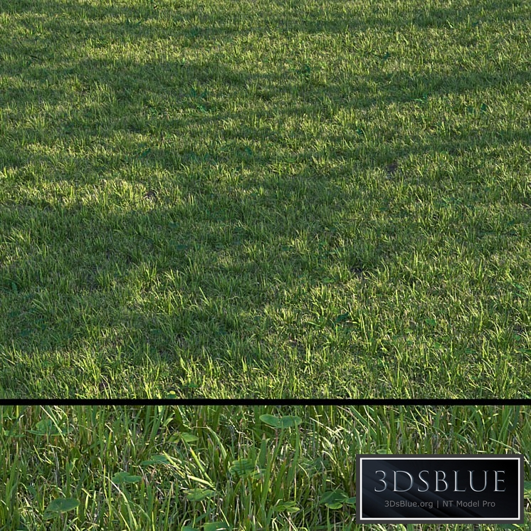grass set04