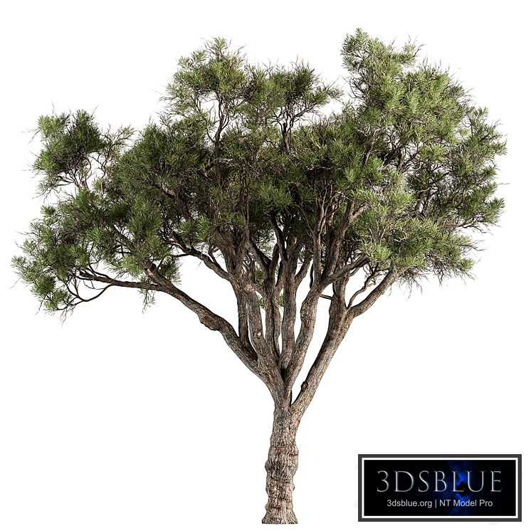 Stone Pine Tree Set 188