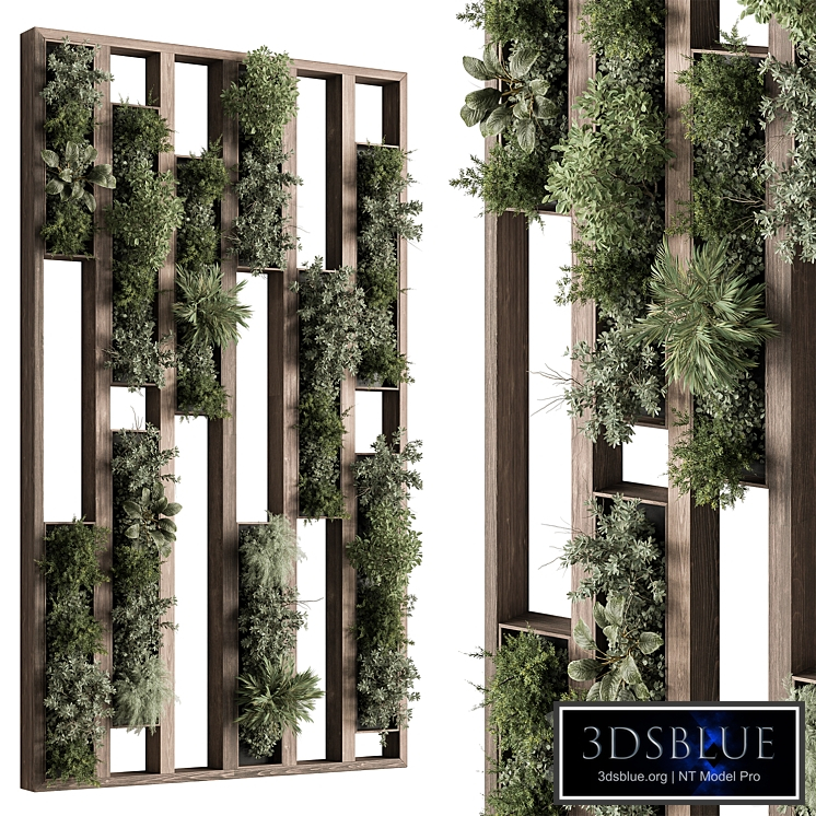 Green Wall - Plants partition 05
