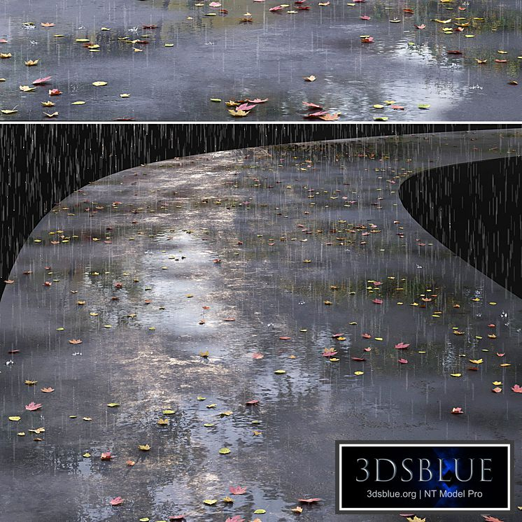 Autumn road with leaves and puddles