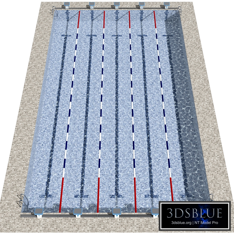 Swimming pool with lanes