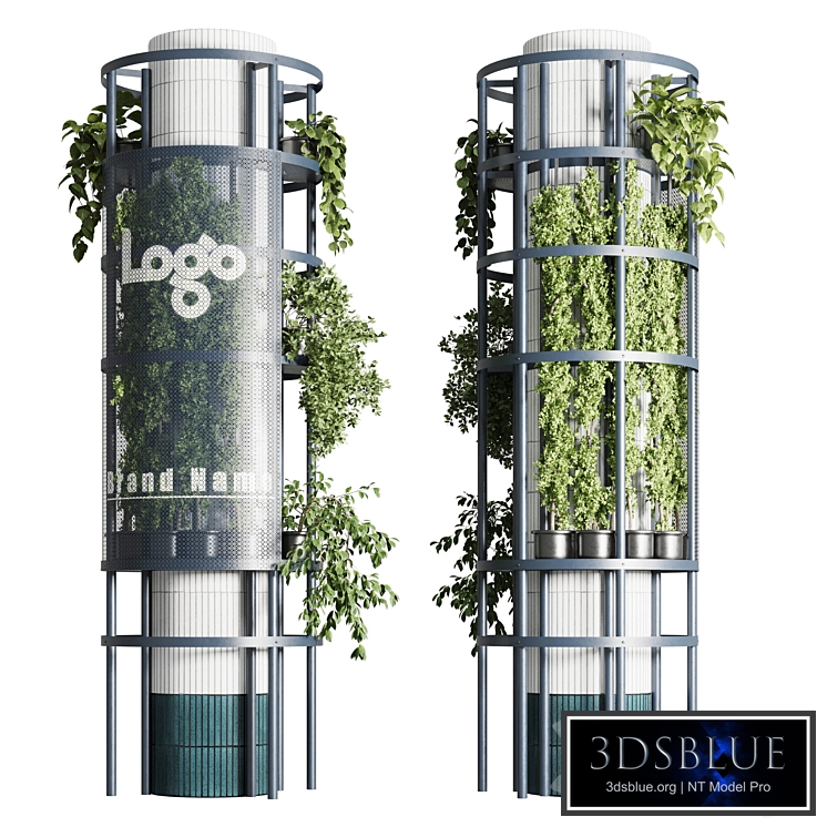 Column plant - pillar plant - column garden ivy 08
