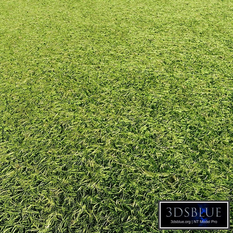 Grass texture seamless pbr 120