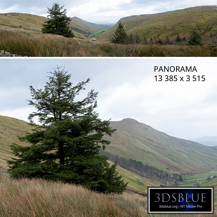 Panorama. View of mountains and forest