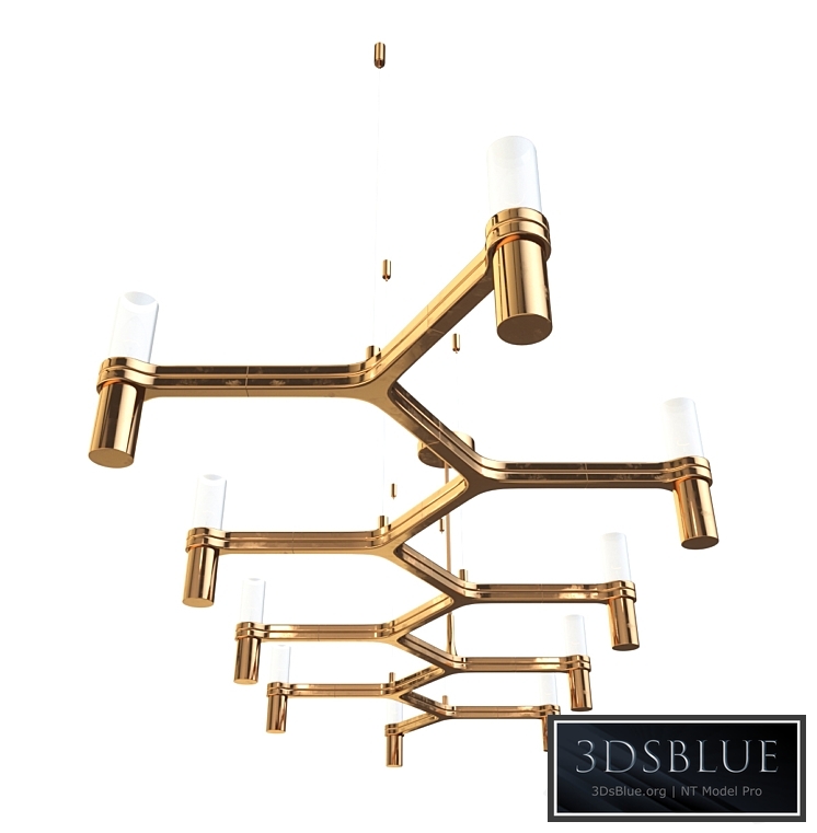 NEMO CROWN PLANA LINEA