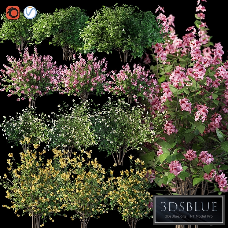 Set flowering shrubs 4